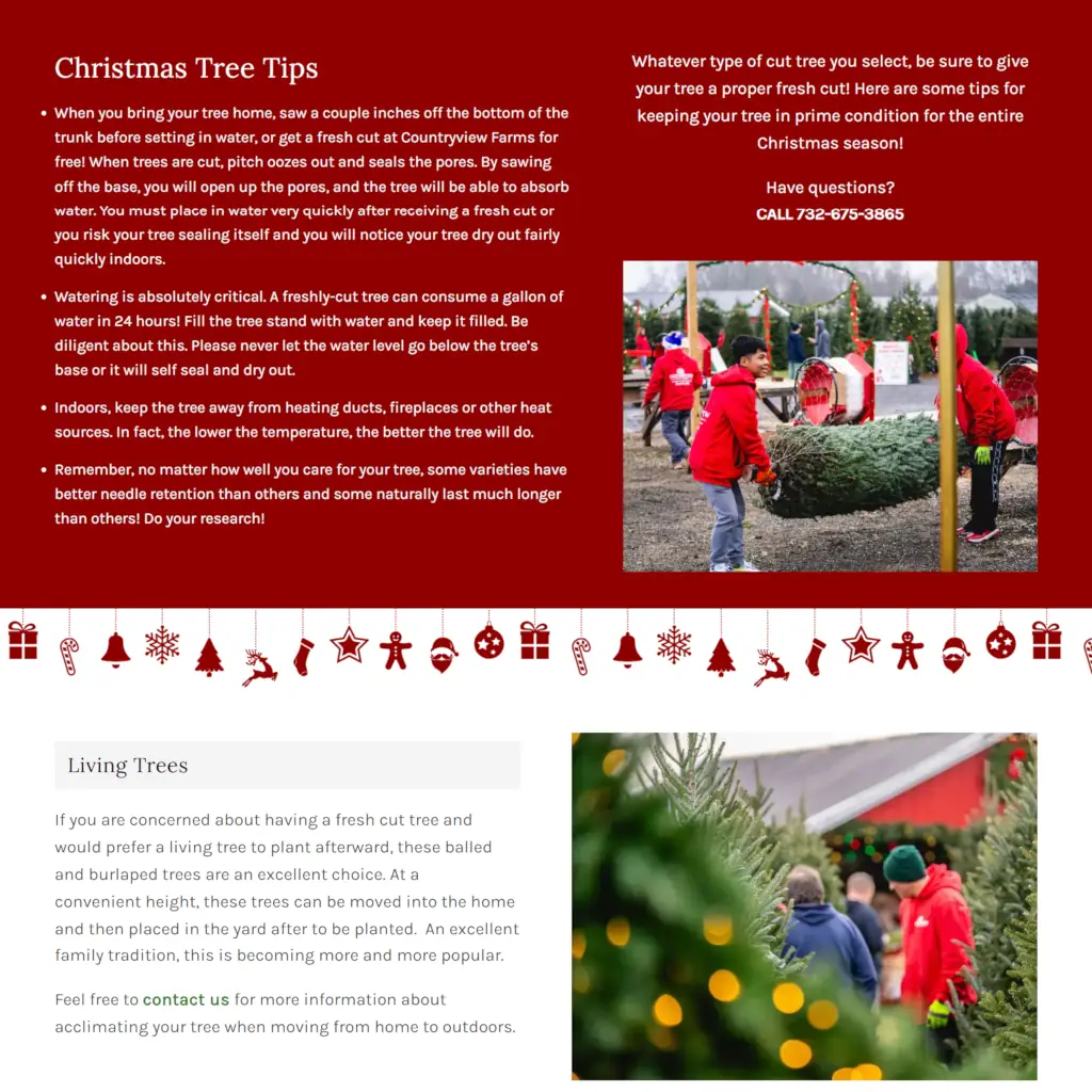 Countryview Farm Nursery's Christmas Tree Tips webpage section with care instructions, contact information, and photos of families selecting trees at a farm.