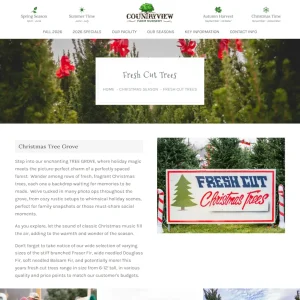 Countryview Farm Nursery fresh cut trees webpage with navigation menu, hero section, and Christmas tree grove details.