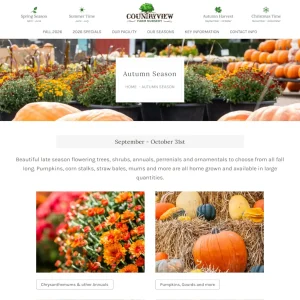 Countryview Farm Nursery autumn season webpage featuring pumpkins, mums, and fall plants available September through October 31st.