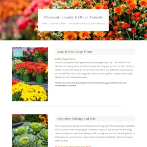 Countryview Farm Nursery Chrysanthemums & Other Annuals webpage with breadcrumb navigation, product listings, and colorful flower imagery.
