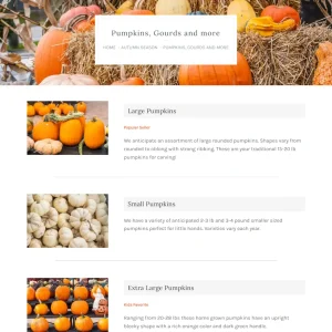 Countryview Farm Nursery pumpkins and gourds product webpage displaying large, small, and extra large pumpkin categories with autumn harvest hero image.