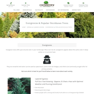 Countryview Farm web page header featuring seasonal navigation and evergreens content section.