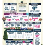 Countryview Farm Nursery spring-summer 2025 sales flyer featuring perennials, annuals, vegetables, trees, and shrubs with pricing and product details.