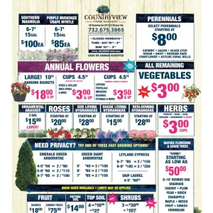 Countryview Farm Nursery spring-summer 2025 sales flyer featuring perennials, annuals, vegetables, trees, and shrubs with pricing and product details.