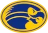 Manchester Township NJ Gold Blue Hawks logo featuring a stylized hawk mascot