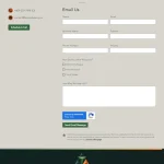 Tetra Advisory contact form webpage with email submission fields, phone number, schedule call button, and reCAPTCHA verification.