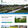 Tidbury Creek Farms Nursery homepage featuring navigation menu, hero image of plant nursery grounds, and product information sections.