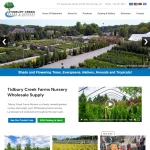 Tidbury Creek Farms Nursery homepage featuring navigation menu, hero image of plant nursery grounds, and product information sections.